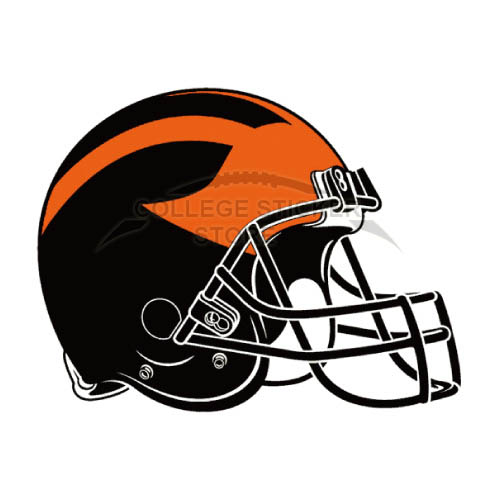 Homemade Princeton Tigers Iron-on Transfers (Wall Stickers)NO.5931